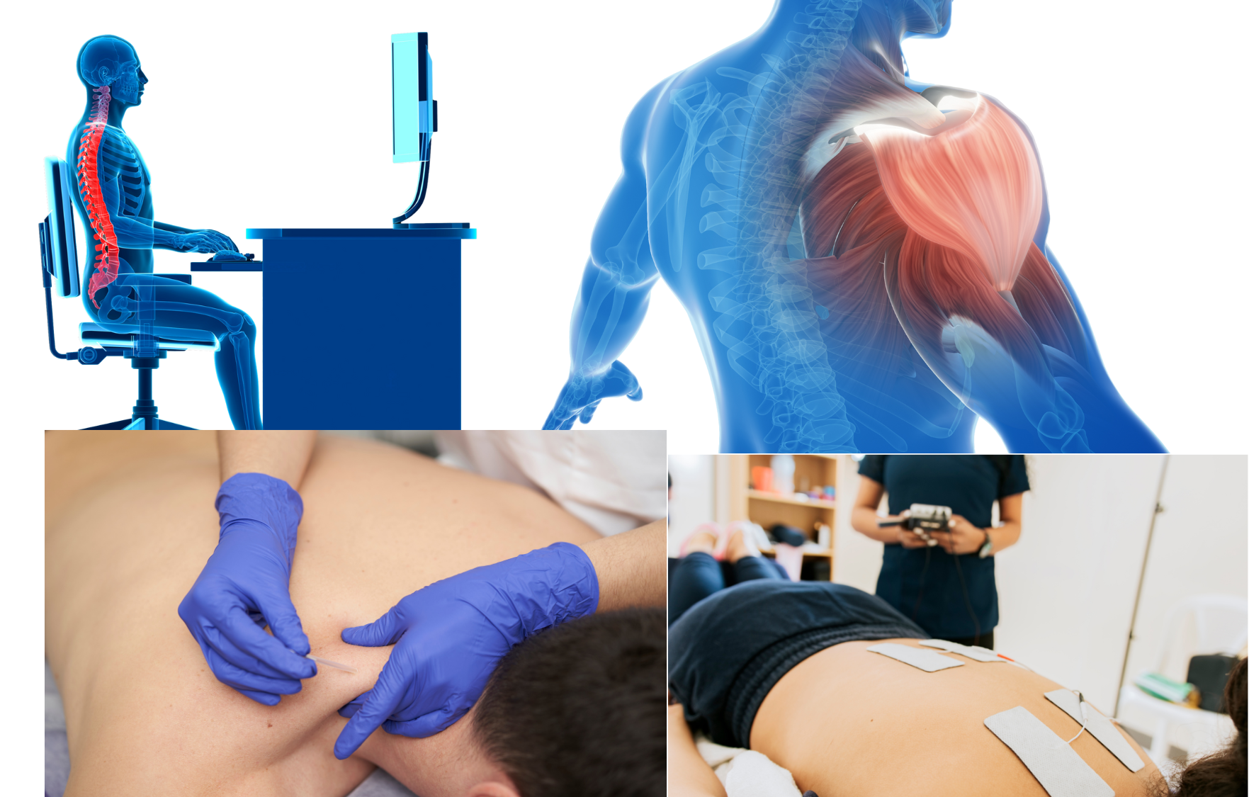 Specialized PT Programs